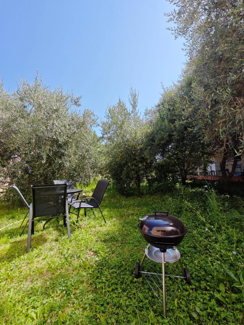 ביילה Apartmani Radovic מראה חיצוני תמונה