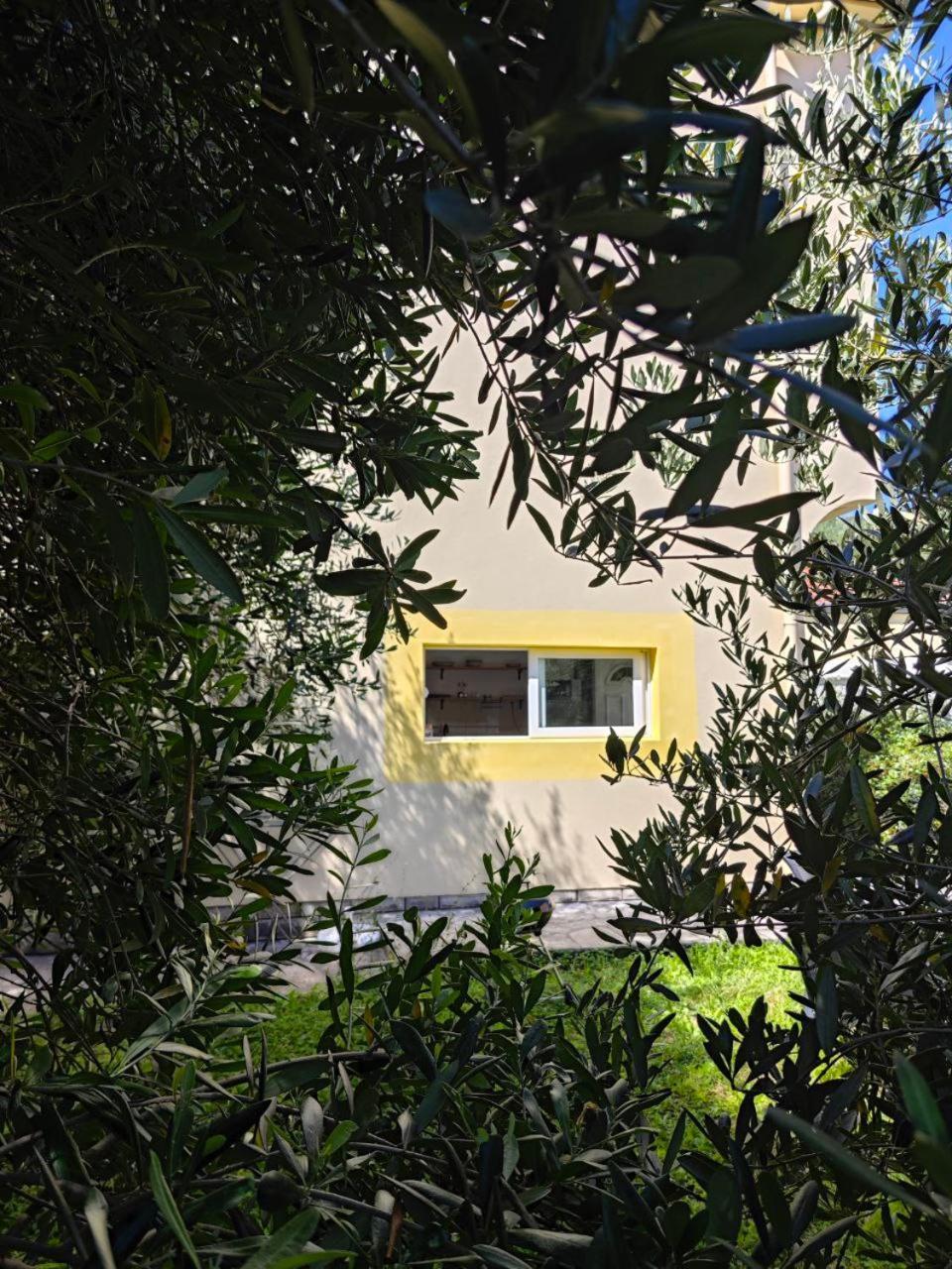ביילה Apartmani Radovic מראה חיצוני תמונה